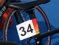 ���ɽ�������ֽ