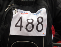 ���벼�ͱ���